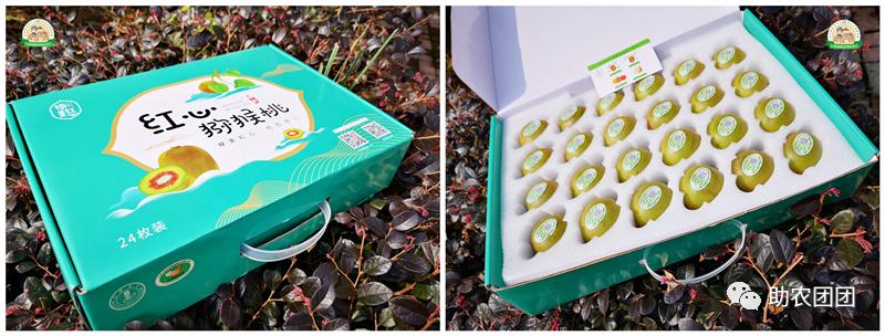 助农产品水果猕猴桃,贵州六盘水红心猕猴桃助农