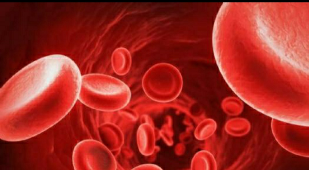 非典型溶血性尿毒症的发病几率,非典型溶血性尿毒症国外治疗