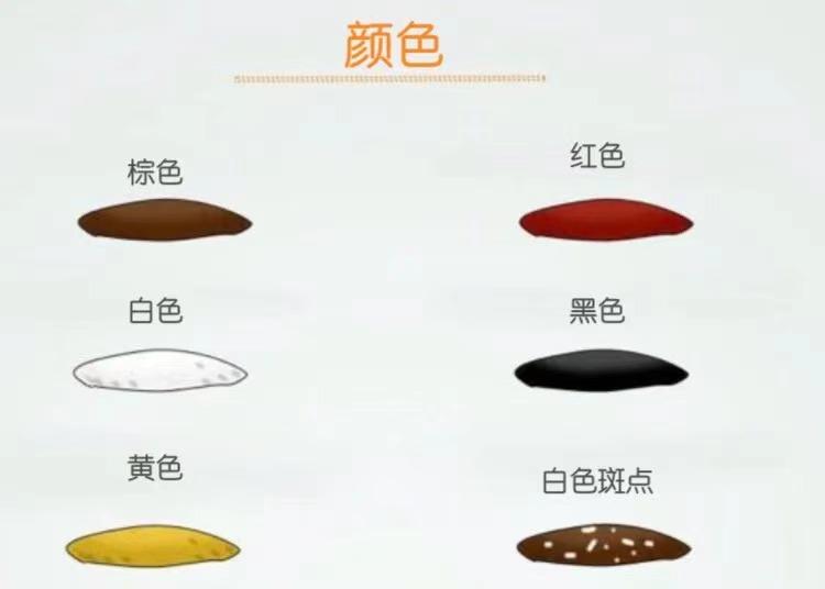 狗狗六大表现,狗狗什么颜色的便便是正常的