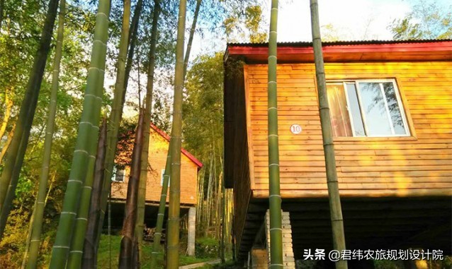 江西仙姑坛景区,2024年铜鼓仙姑坛杜鹃花开了吗