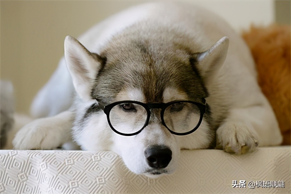 三个人的友谊被忽视怎么处理,三个人的友谊莫名其妙被排斥