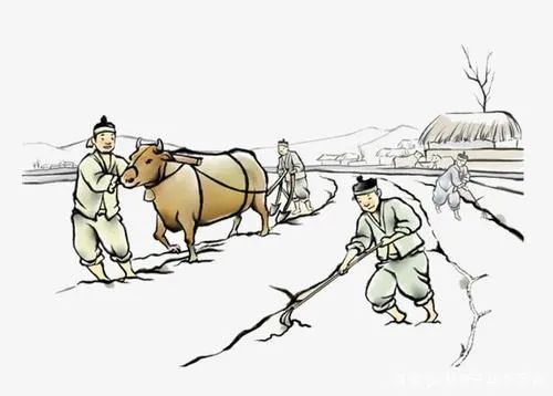 蒋勋活得像个人才能看见美,蒋勋越简单越朴素越动人