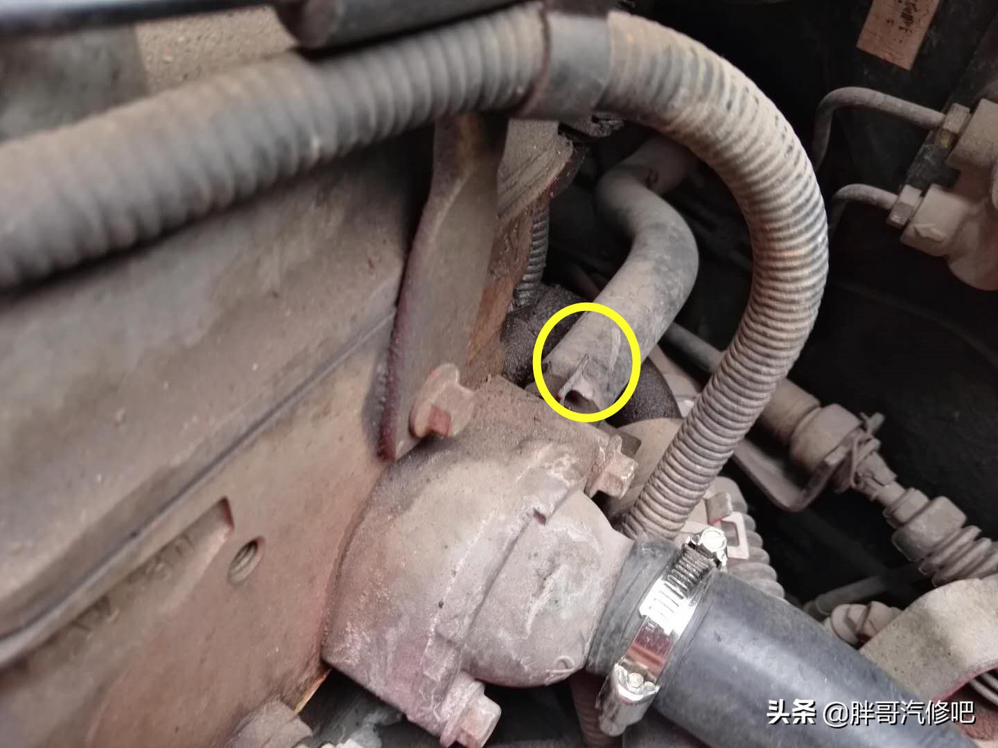 汽车冷却系统排气操作教程,胖哥教车
