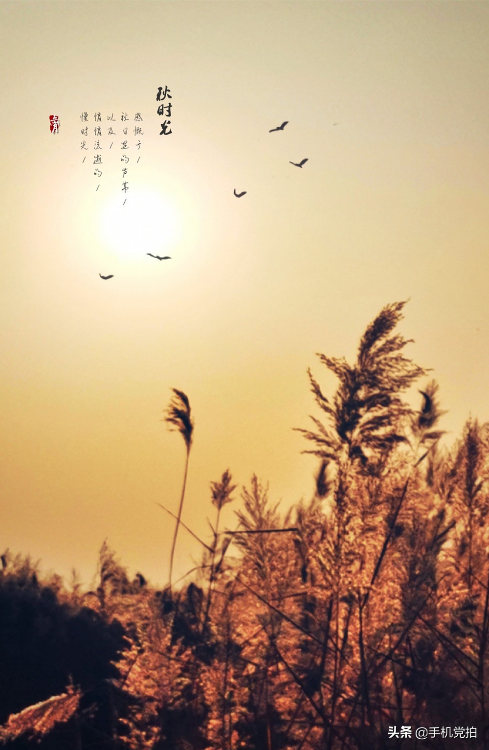 如何快速给大量照片添加水印,怎么给照片加好看的水印