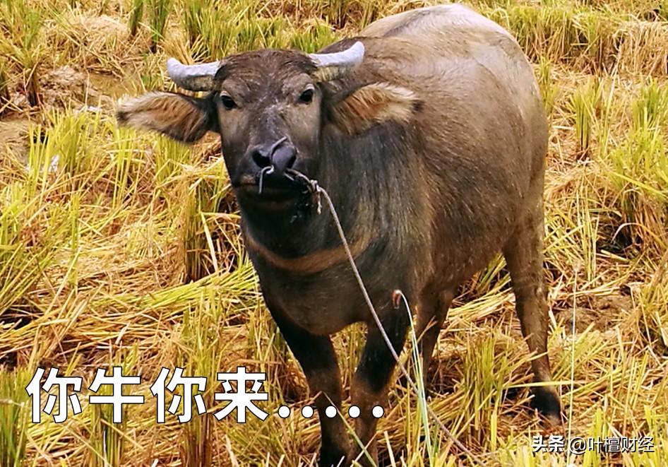 一句话让股市暴涨,股市一份文件网上疯传