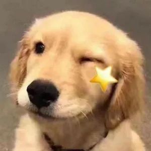 英国留学如何办理银行卡,英国留学生如何申请英国银行卡