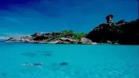 泰国有一个全是鲜花的节日,贝拉bella泰国节日