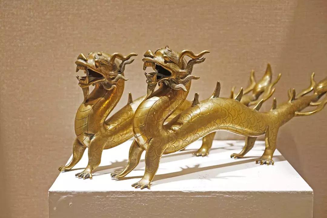 世界十大神奇动物,十大神奇动物园