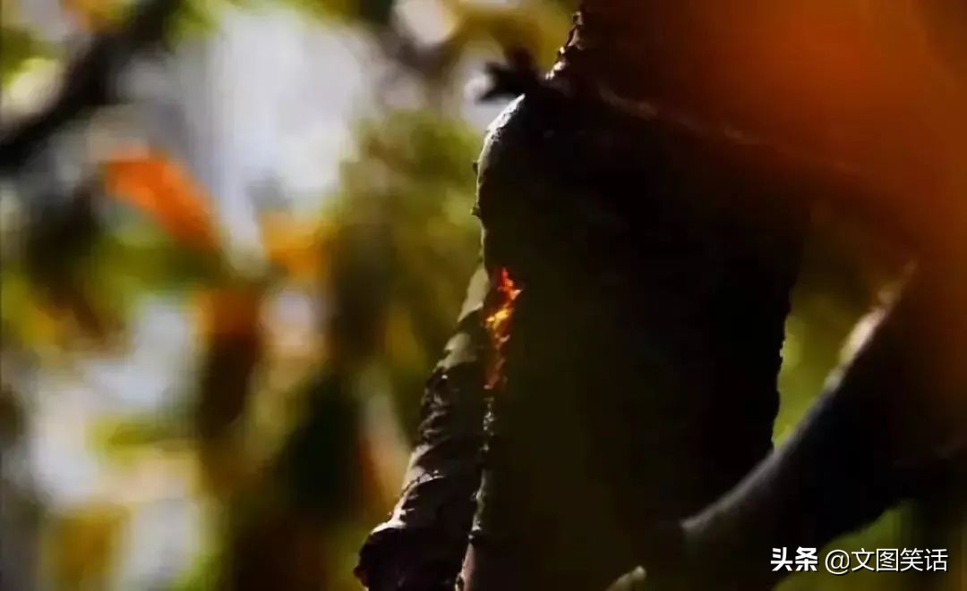 墙面开裂维修灰尘大吗,墙面裂缝掉皮修补的方法