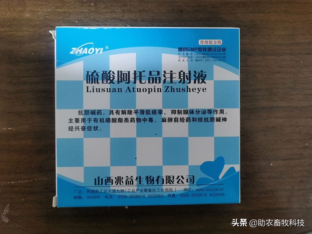 鹅肠道病的症状与治疗,快速判断鹅病的四种方法