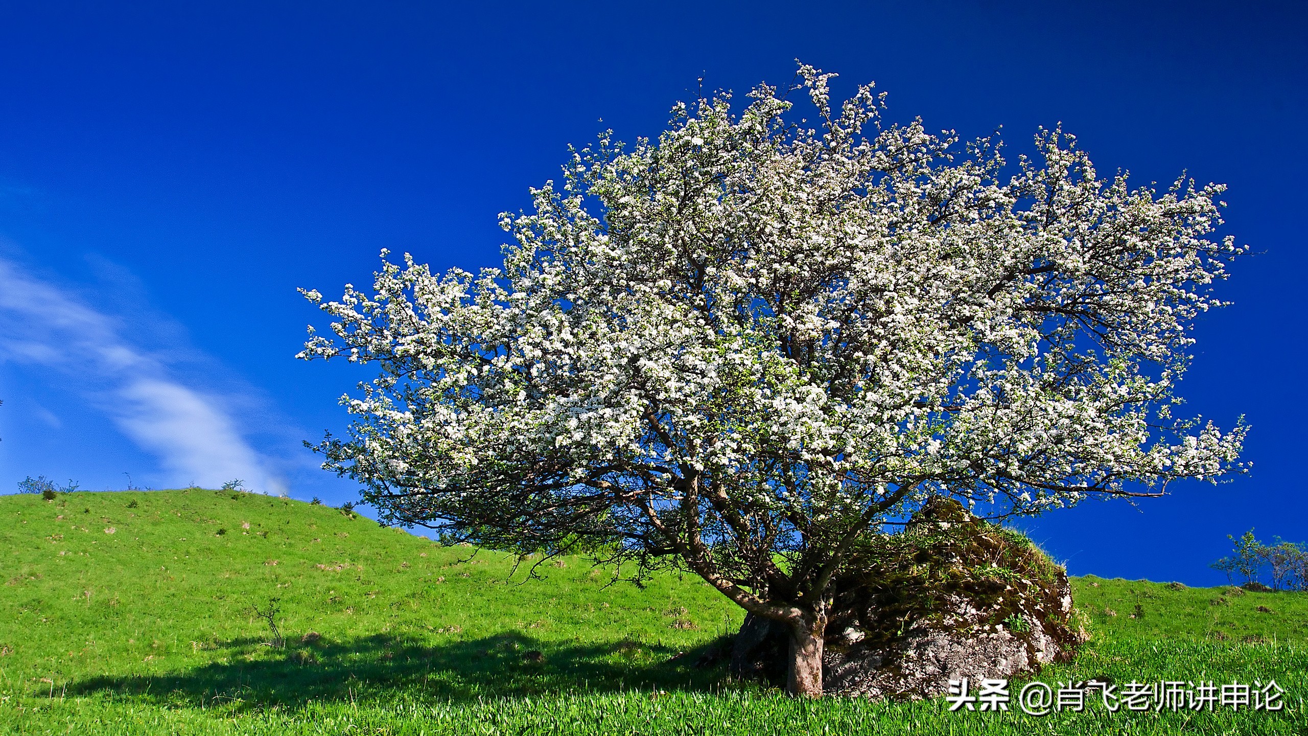 申论对策题中的对策该如何作答,申论乡镇对策题答题技巧