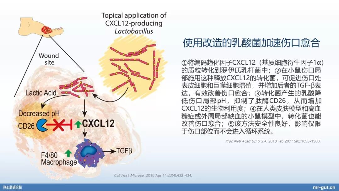 热心肠先生益生菌视频大全,热心肠先生全集