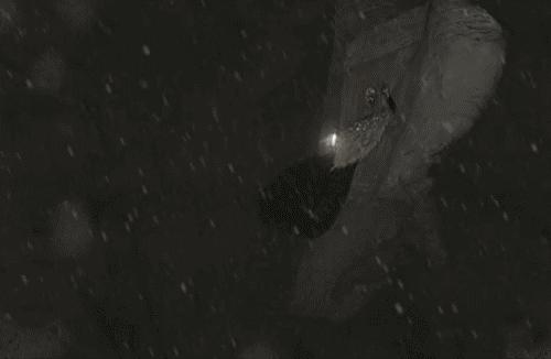 豆瓣8.4，这部20分钟的天才之作刻画了极致的冷酷与怪诞