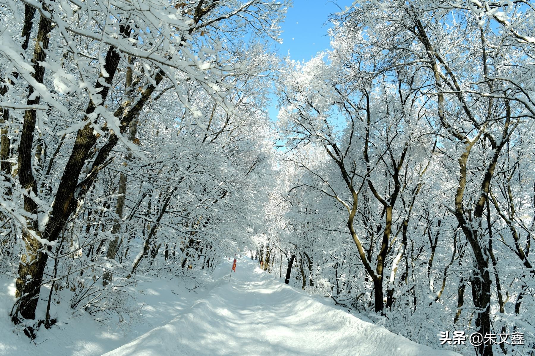 吉林柳河下雪,吉林省通化市柳河