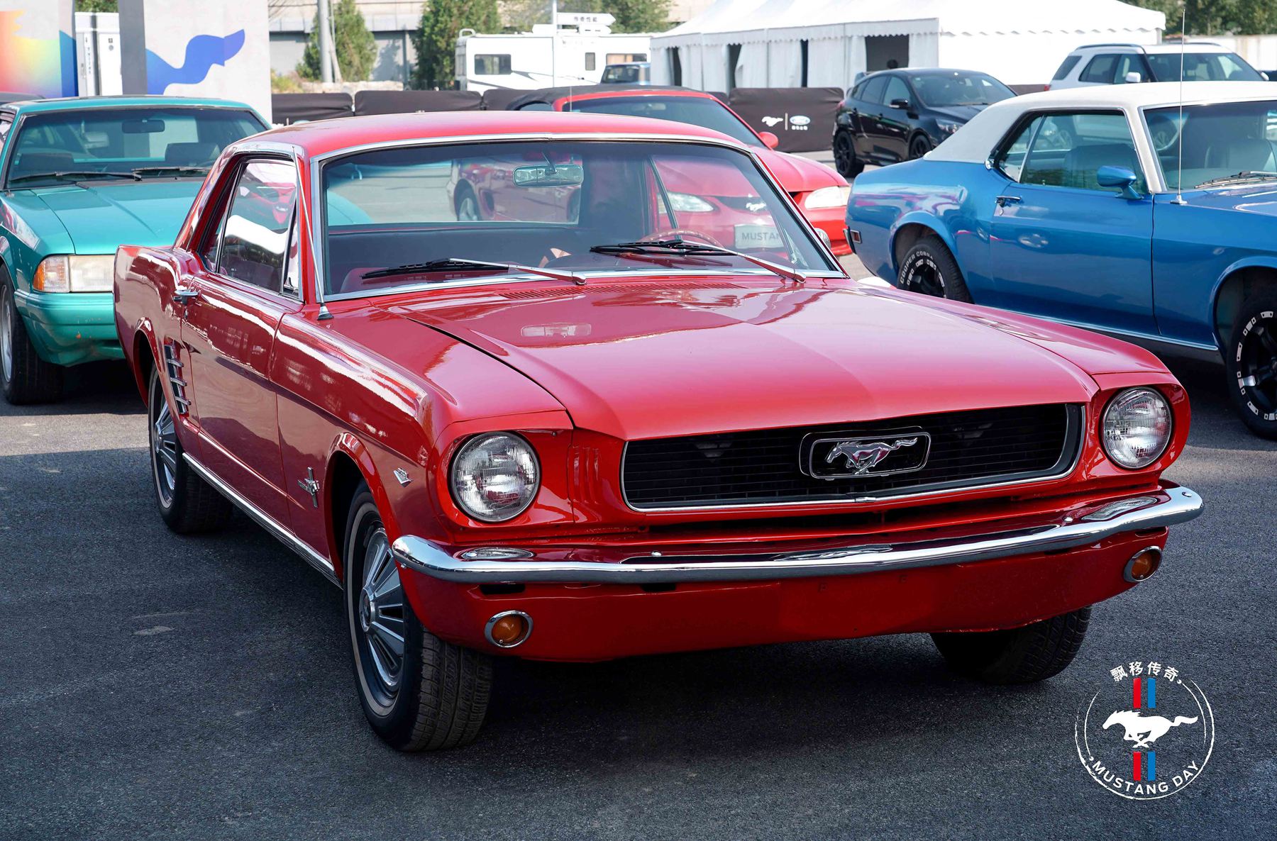 开mustang漂移,烧胎起步漂移的视频