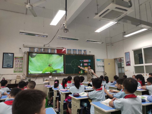 杭州市余杭区育蕾学校官网,杭州星桥育蕾小学