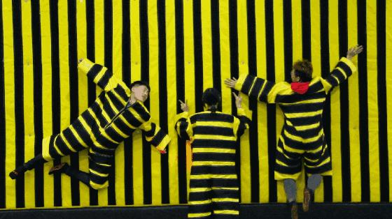 蹦床运动馆团购,阜阳人人汇运动蹦床馆