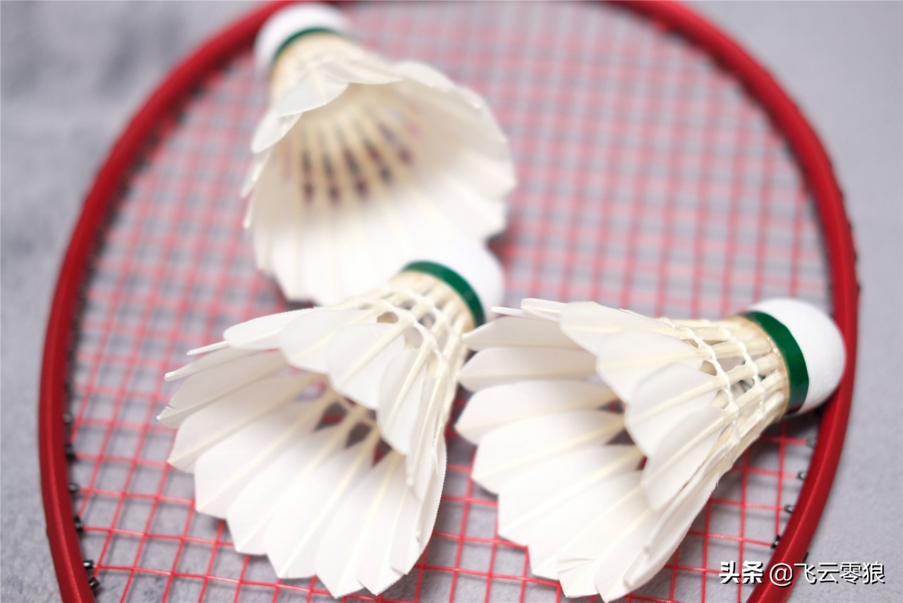 「中羽在线飞云零狼」威羽斯钻一钻二钻五评测——高性价比鹅毛球