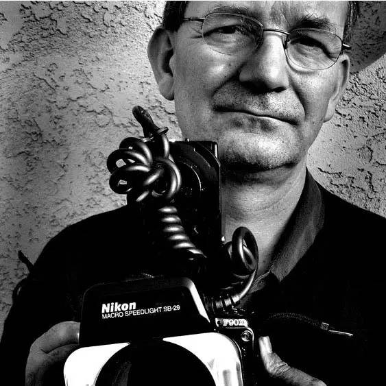 摄影的真谛在于发现美而不是造假,摄影的本质