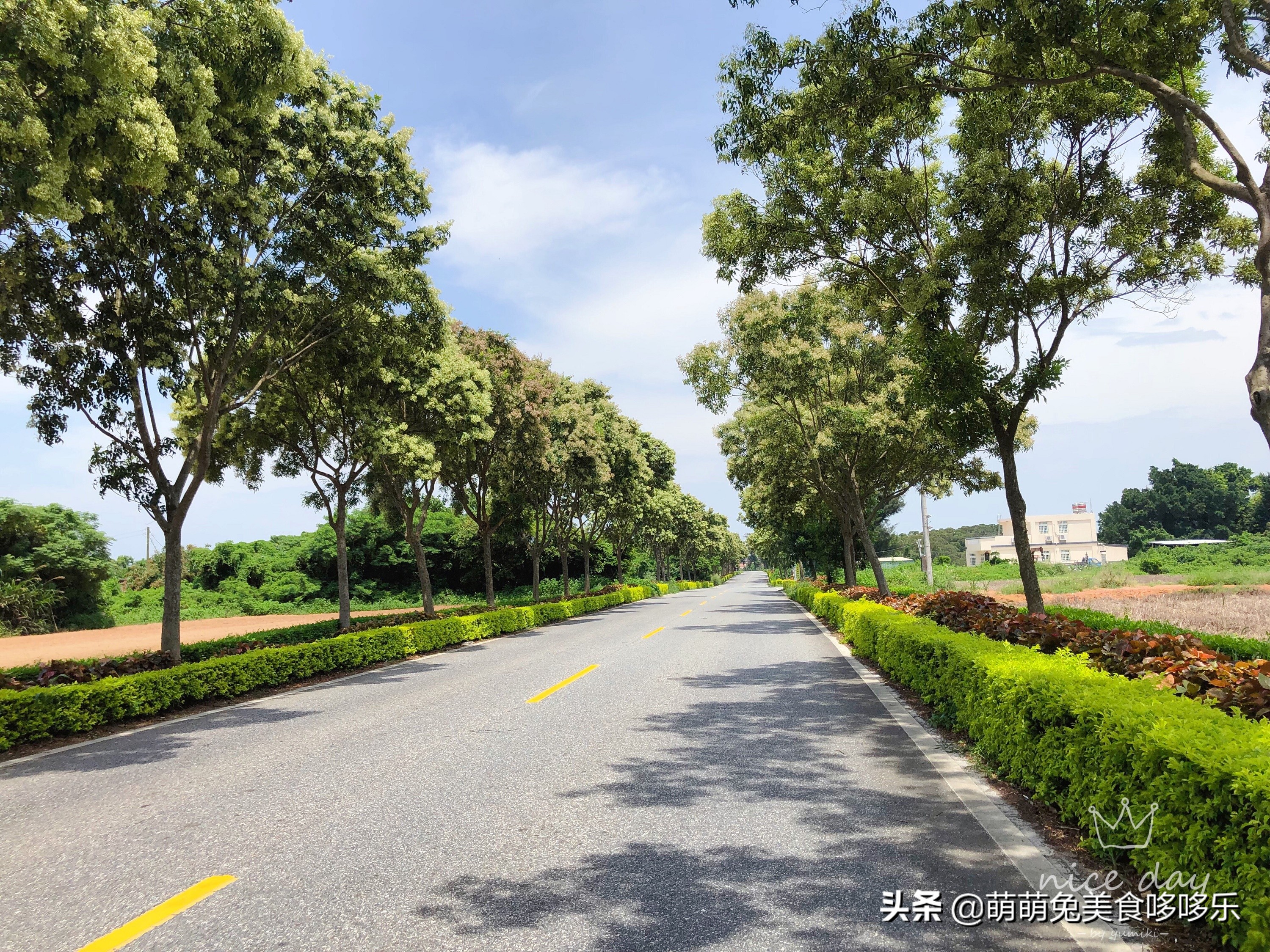 金门自由行7月开放,金门两天一夜自由行