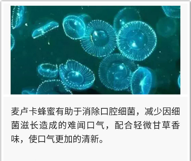 盘点全球9款真正好用的人气牙膏,牙膏界顶流炫白牙膏