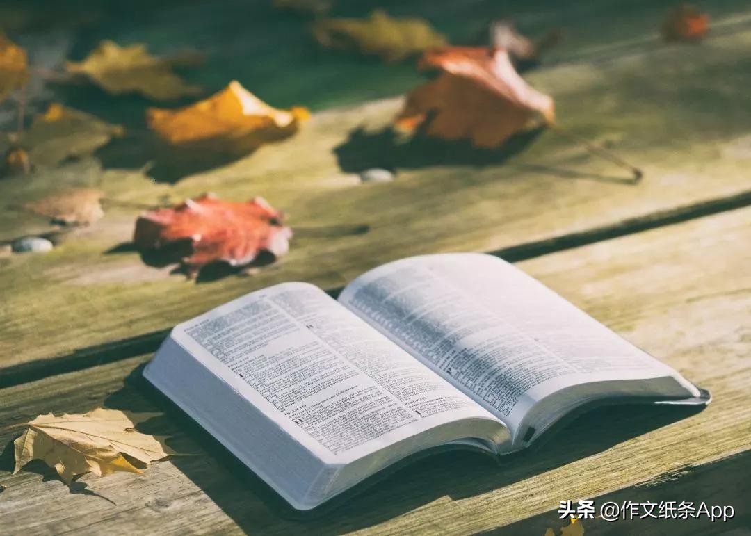 中考作文抢分新素材,议论文作文高级词汇