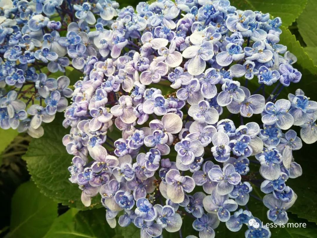 韩国济州岛超详细旅游规划攻略,韩国济州岛攻略自由行