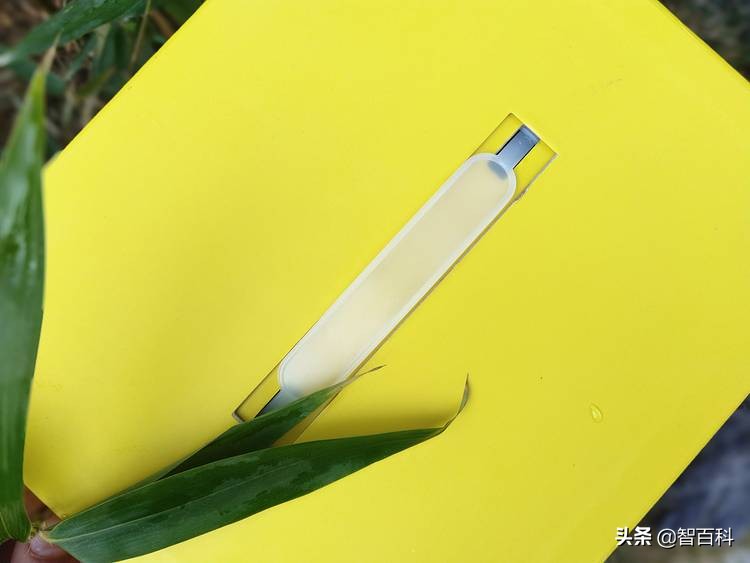 聪聪ai机器人,儿童早教ai机器人测评