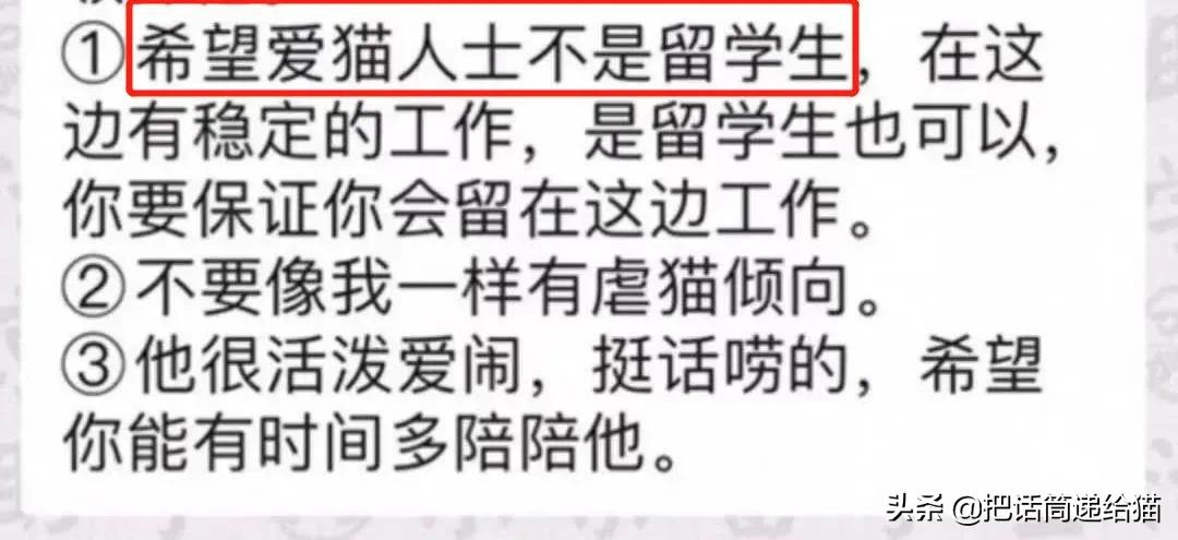 虐猫后良心发现加价“*养送**”？在日本领养流浪猫没你想的那么美好