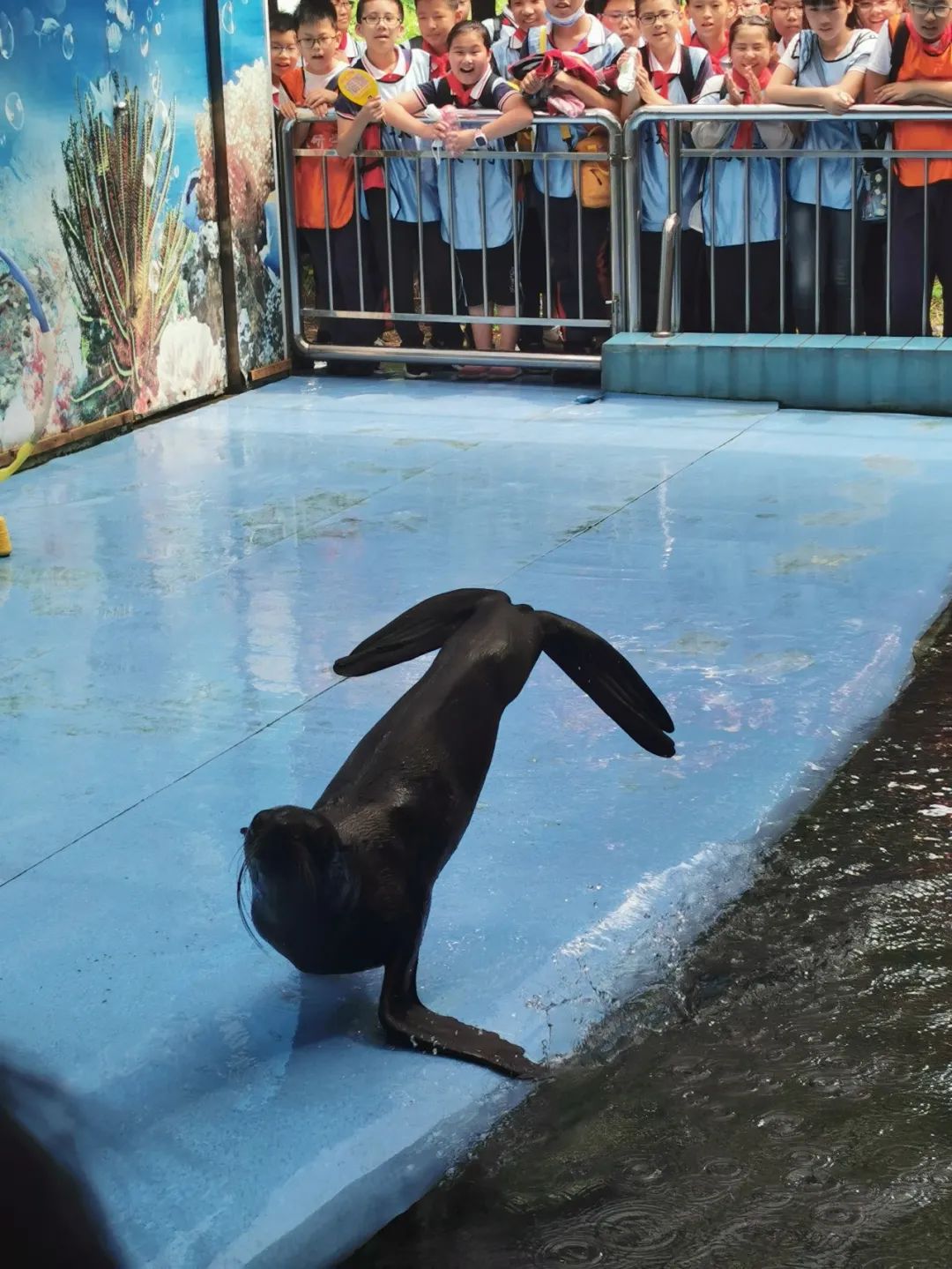 江苏省南通市启东市长江小学,启东长江小学研学