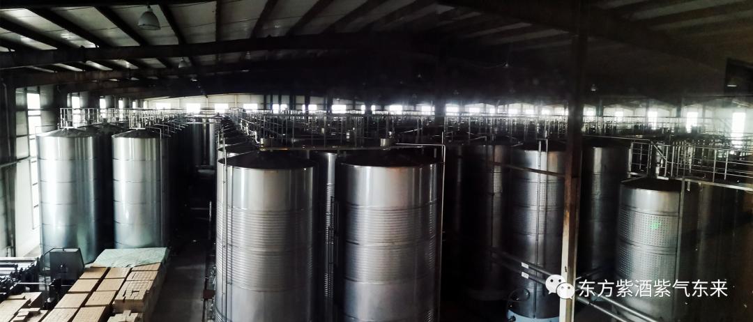 东方紫酒详细介绍,东方紫酒新国粹