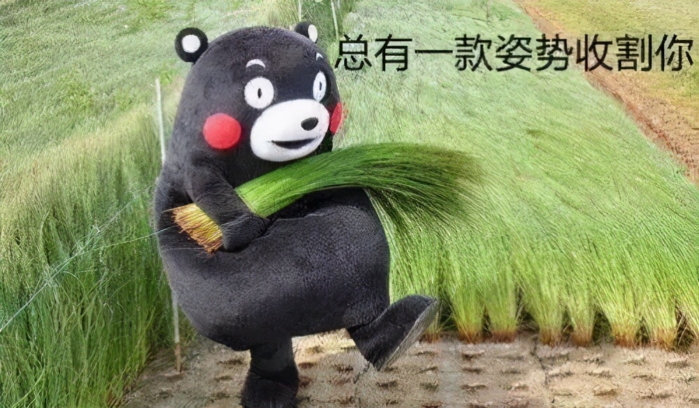 小霸王破产了怎么还有商品卖,小霸王破产的最后一次