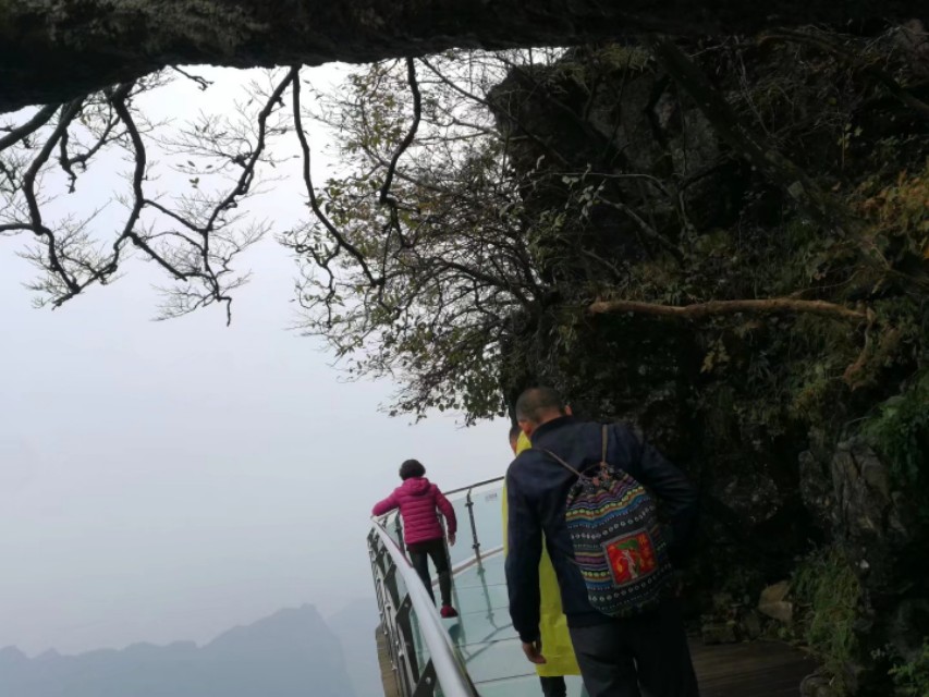 天门山一个人旅游,天门山的特别之处
