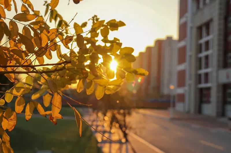 天津医科大学七所直属医院,天津医科大学独立学院是几本