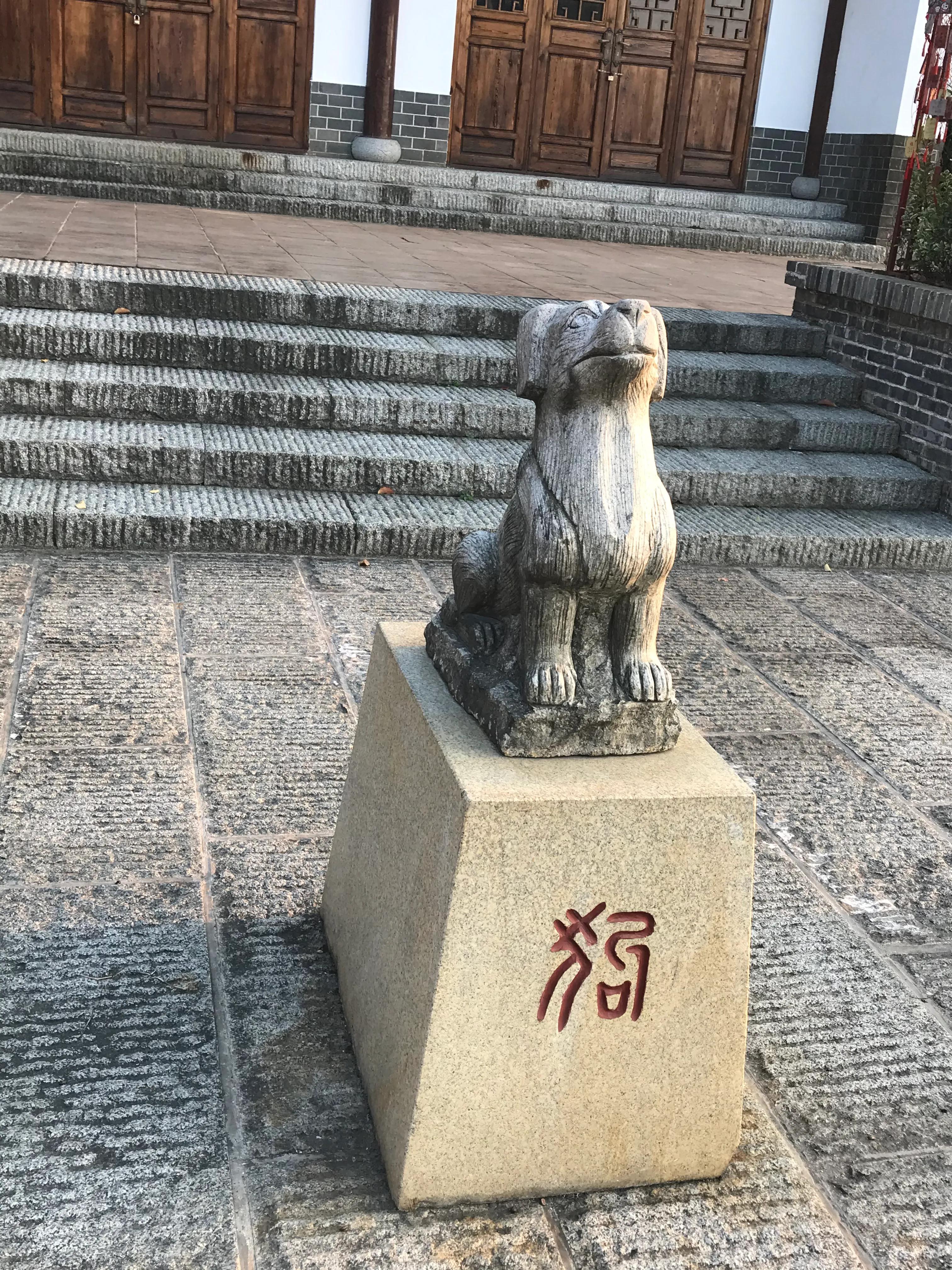 洋沙湖湿地公园游记,洋沙湖游记作文