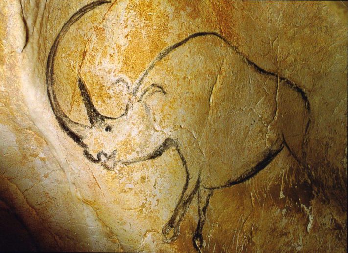 揭秘人类进化史全集,人类简史进化全过程