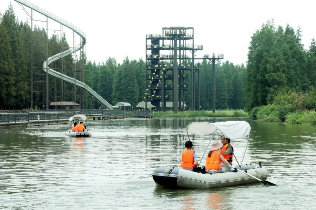 森氧之地,秋游必选!金湖万亩水上森林,真的别有趣味