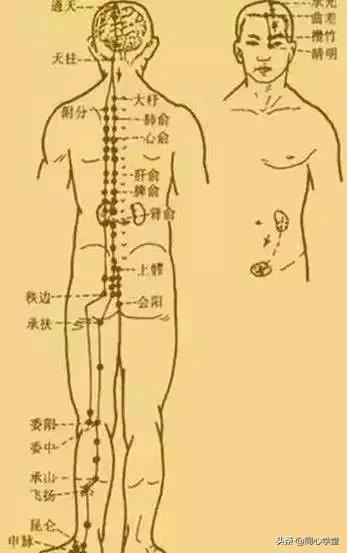 三九进九,三九时间表2019