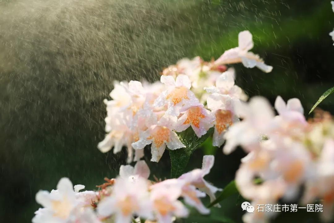 看不见的“伤口”，原来藏在这里