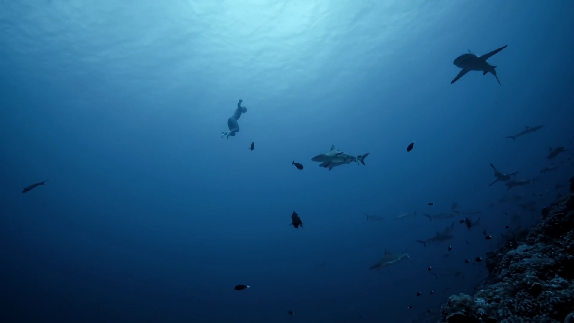 可燃冰与普通能源相比有什么优点,为何说可燃冰能改变世界格局