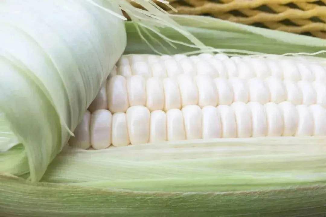 本周四上午10：00，请一定打开手机……记得定好闹钟！