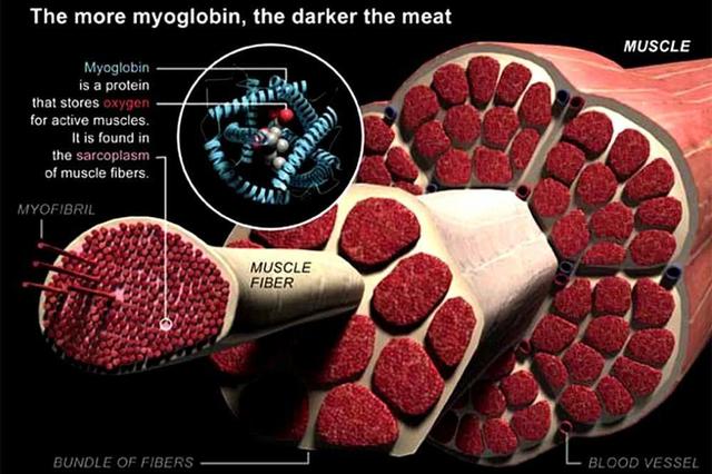 切牛排出血是什么原因,切牛排流下的红色汁水