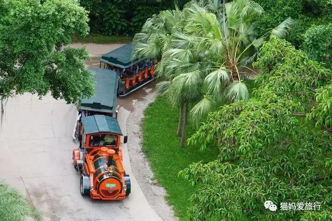 2天游玩广州长隆野生动物园攻略,广州长隆野生动物园步行游玩攻略