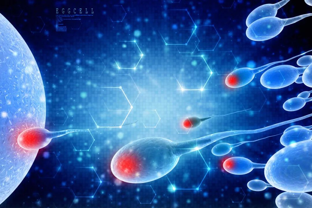 为什么男人那么多，全球精子库还会告急？