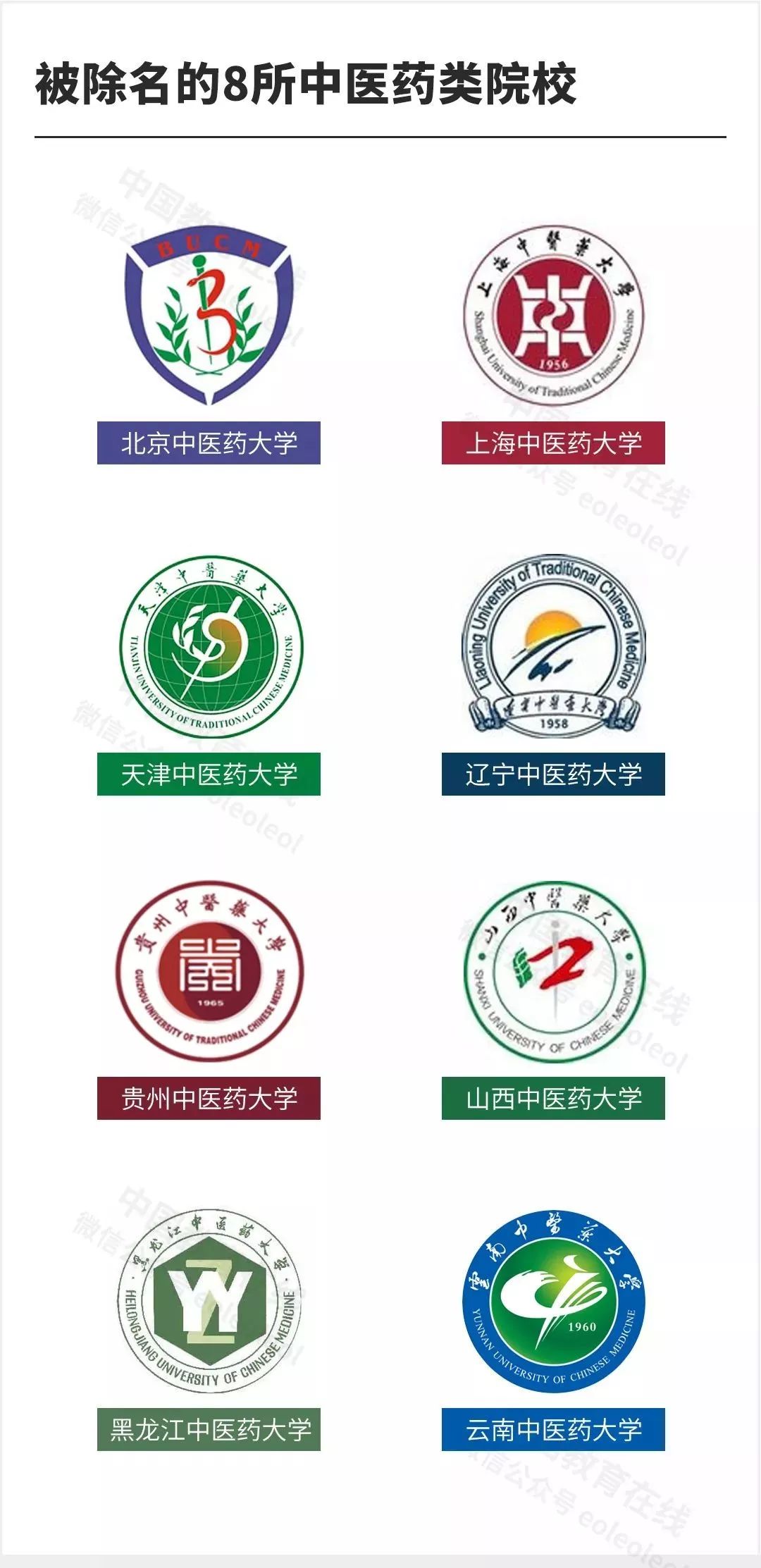 辽宁中医药大学会升双一流吗,双一流大学辽宁中医药大学