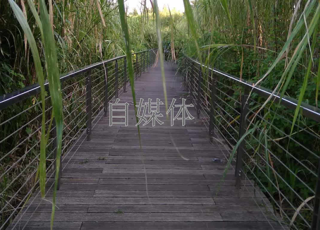 自媒体必备工具排行榜,自媒体必备全套工具有哪些