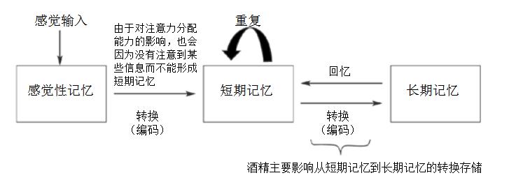 酒后断片的人,酒后断片失态怎么缓解尴尬