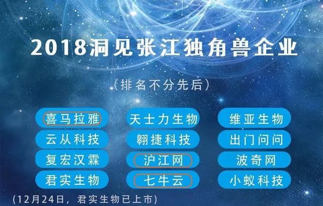 “2018洞见张江Top100”公布，浦软10家园企上榜