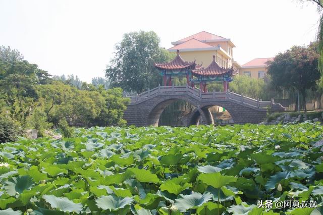 滕州一中全部名单,滕州一中百年名校