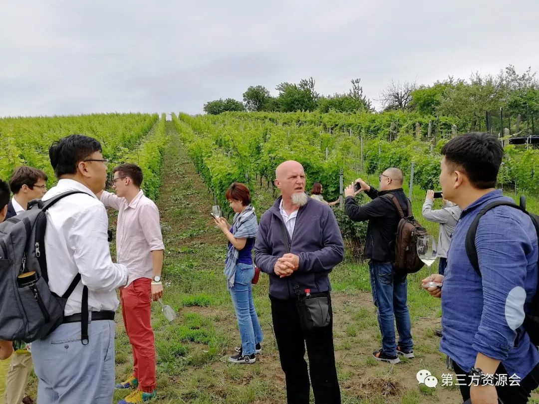 东欧匈牙利捷克,捷克奥地利维也纳